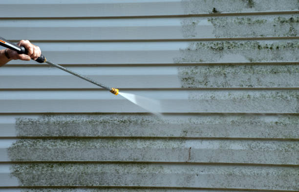 Office Mold Removal Services in Mooreville, MS