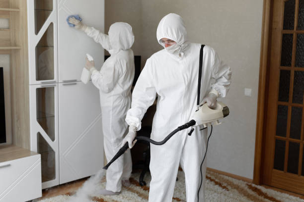 Best Toxic Mold Removal  in Mooreville, MS